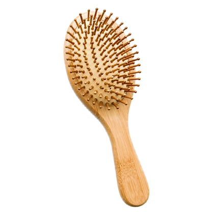 Bamboo Hairbrush